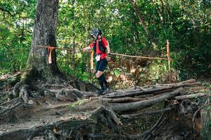 BIB: 
                            <button type="button" onclick="openModal(27548098)" class="btn btn-primary btn-sm float-right btn-popup" data-toggle="modal" data-target=".modal-high-quality">
                        <i class="fas fa-shopping-cart"></i> Add to Cart
                    </button>
                                            <button type="button" onclick="isThisMe(27548098, true)" class="btn btn-success btn-sm float-right btn-popup btn-isme hidden" data-toggle="tooltip" data-placement="bottom" title="นี่คือรูปของคุณใช่ไหม คลิกที่นี่เพื่อเอาเข้าอัลบั้ม">
                        <i class="fas fa-plus"></i> Add to album
                    </button>
                    <button type="button" onclick="isThisMe(27548098, false)" class="btn btn-warning btn-sm float-right btn-popup btn-isnotme hidden">
                        <i class="fas fa-ban"></i> Remove from album
                    </button>